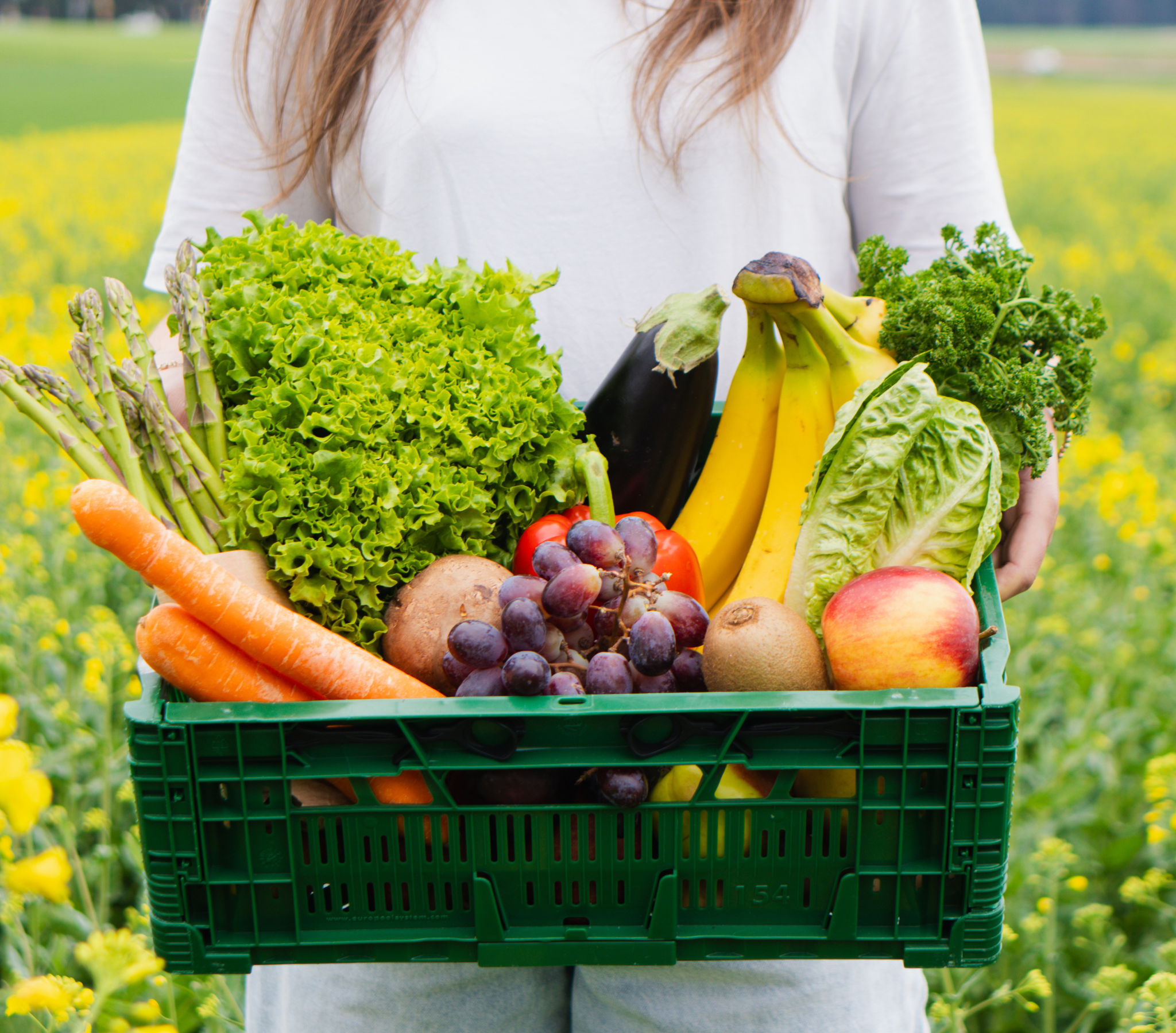 Frucht & Veggie Box