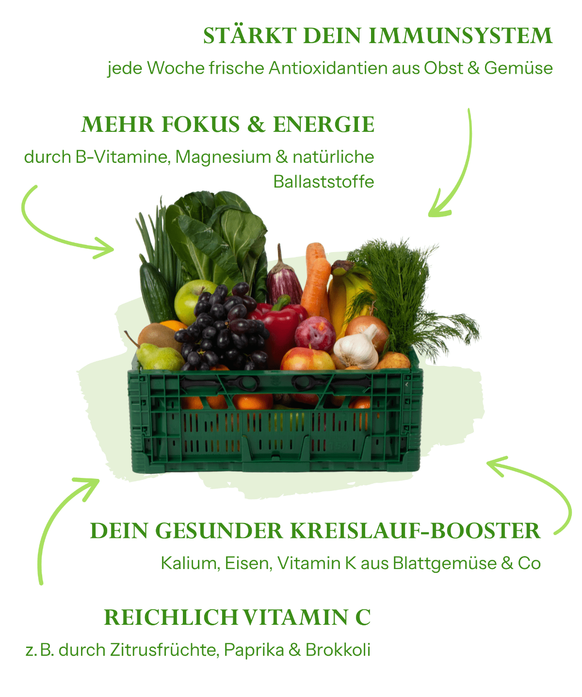 FRUITS4HOME BOX